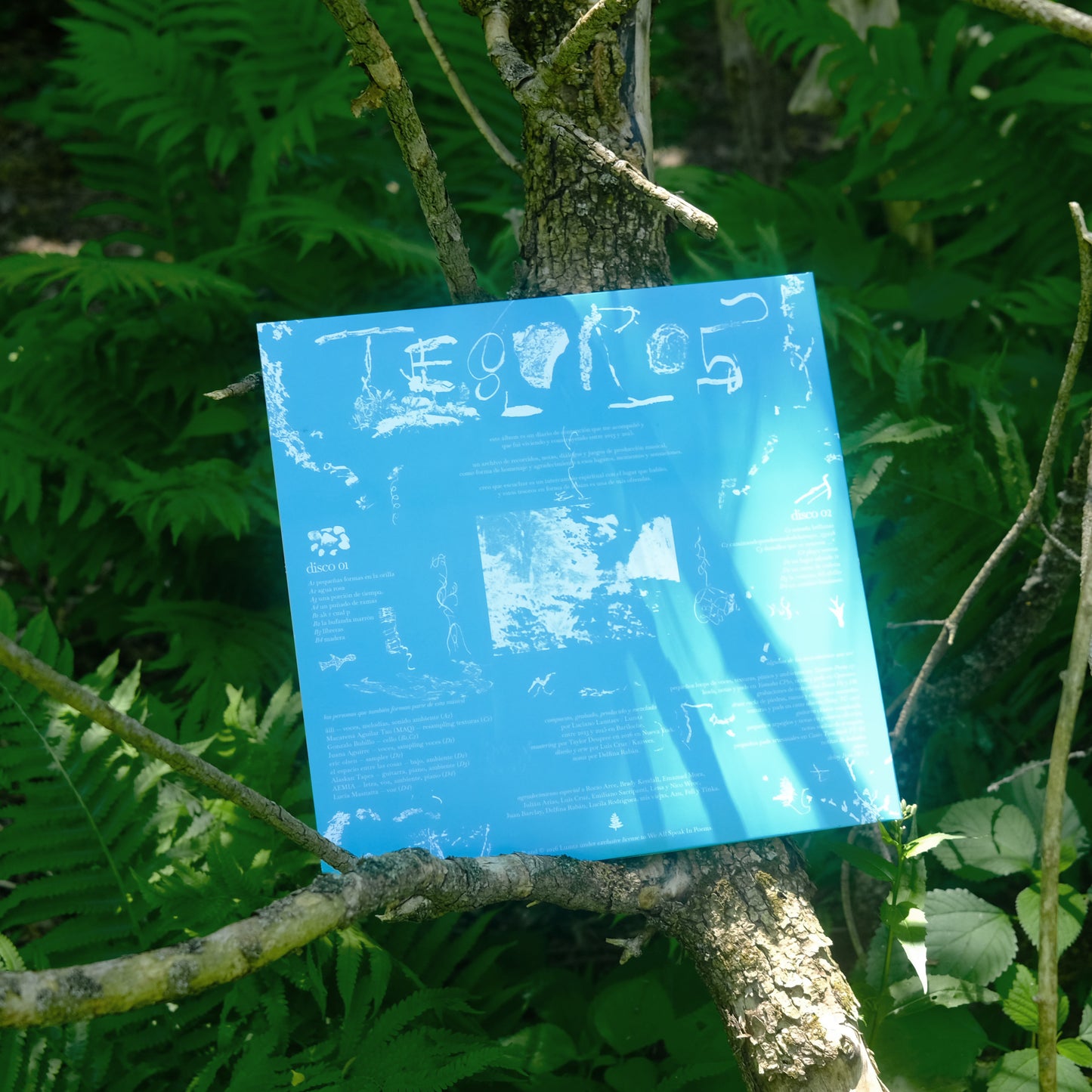 tesoros (double 12" vinyl)