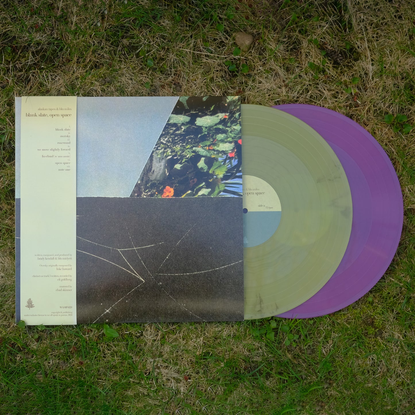 Blank Slate, Open Space (12" Vinyl)