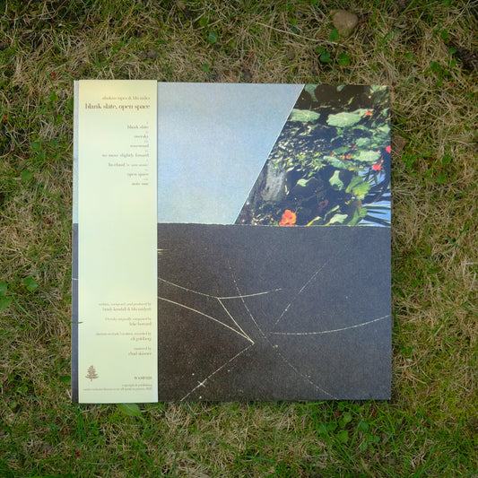 Blank Slate, Open Space (12" Vinyl)