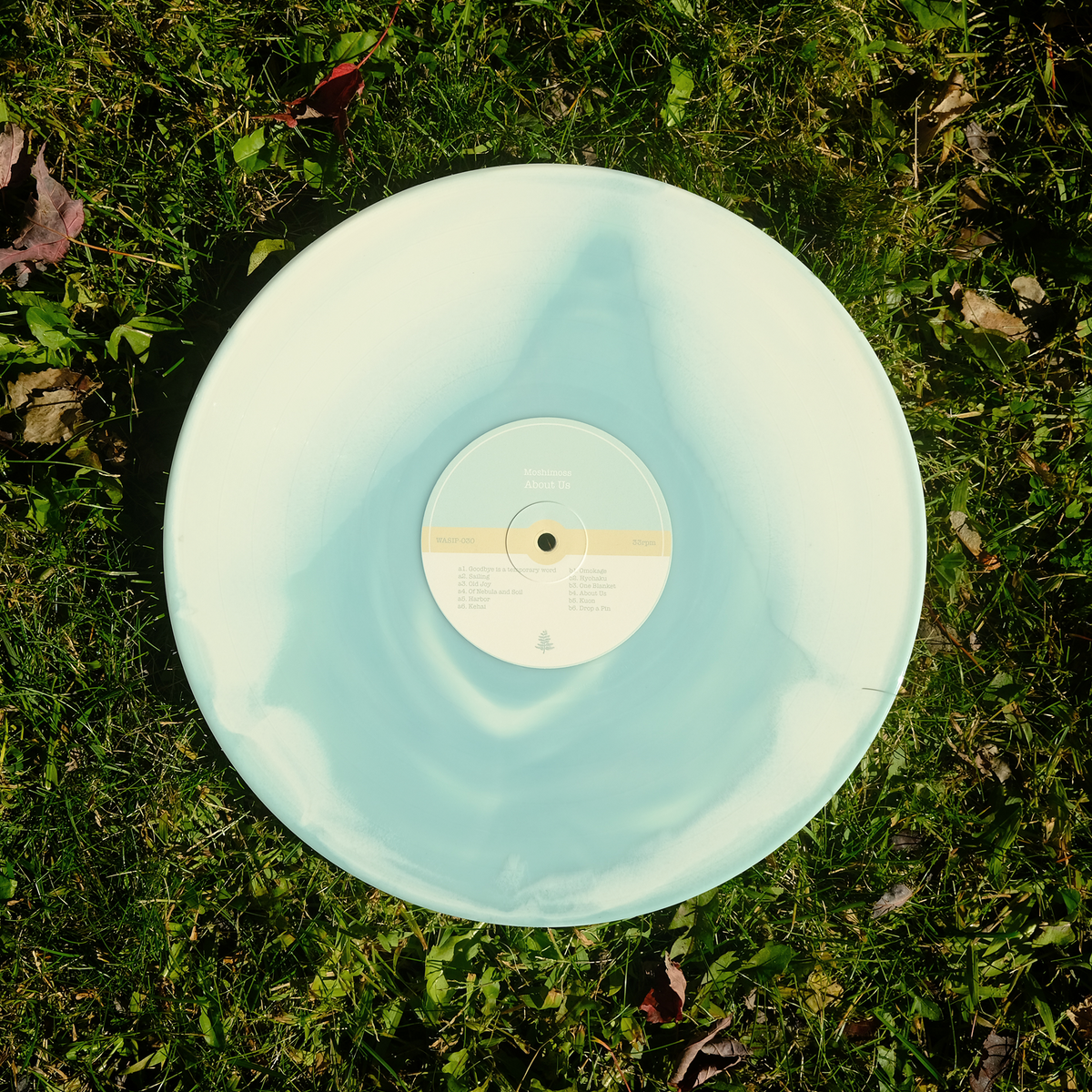 About Us (12" Vinyl)