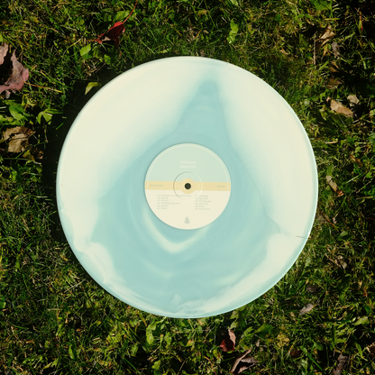 About Us (12" Vinyl)