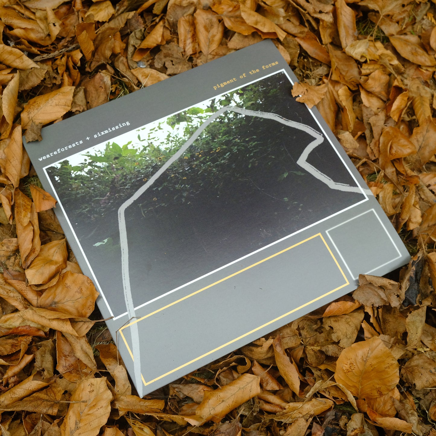 pigment of the forms (12" Vinyl)