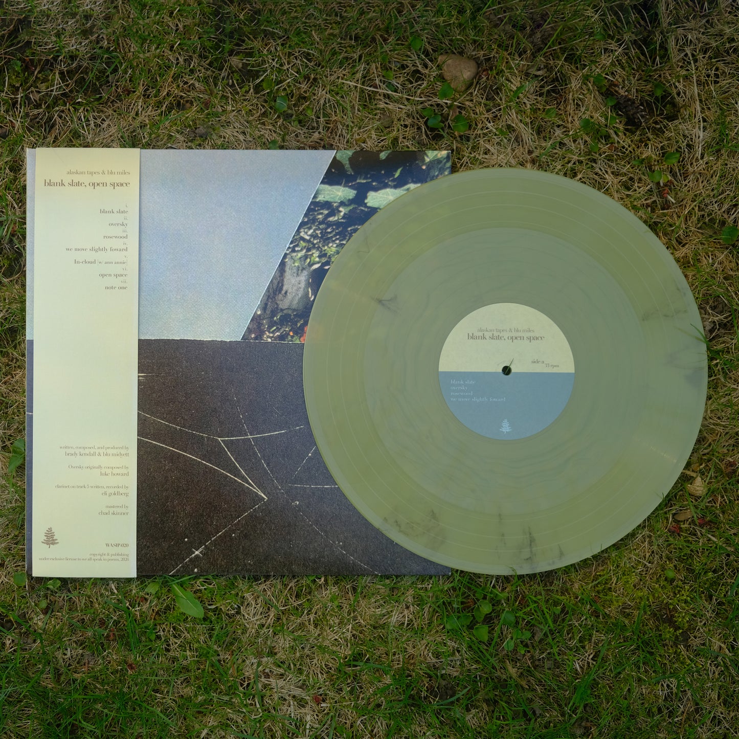 Blank Slate, Open Space (12" Vinyl)