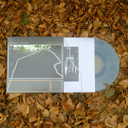 pigment of the forms (12" Vinyl)