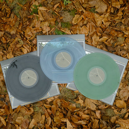 pigment of the forms (12" Vinyl)