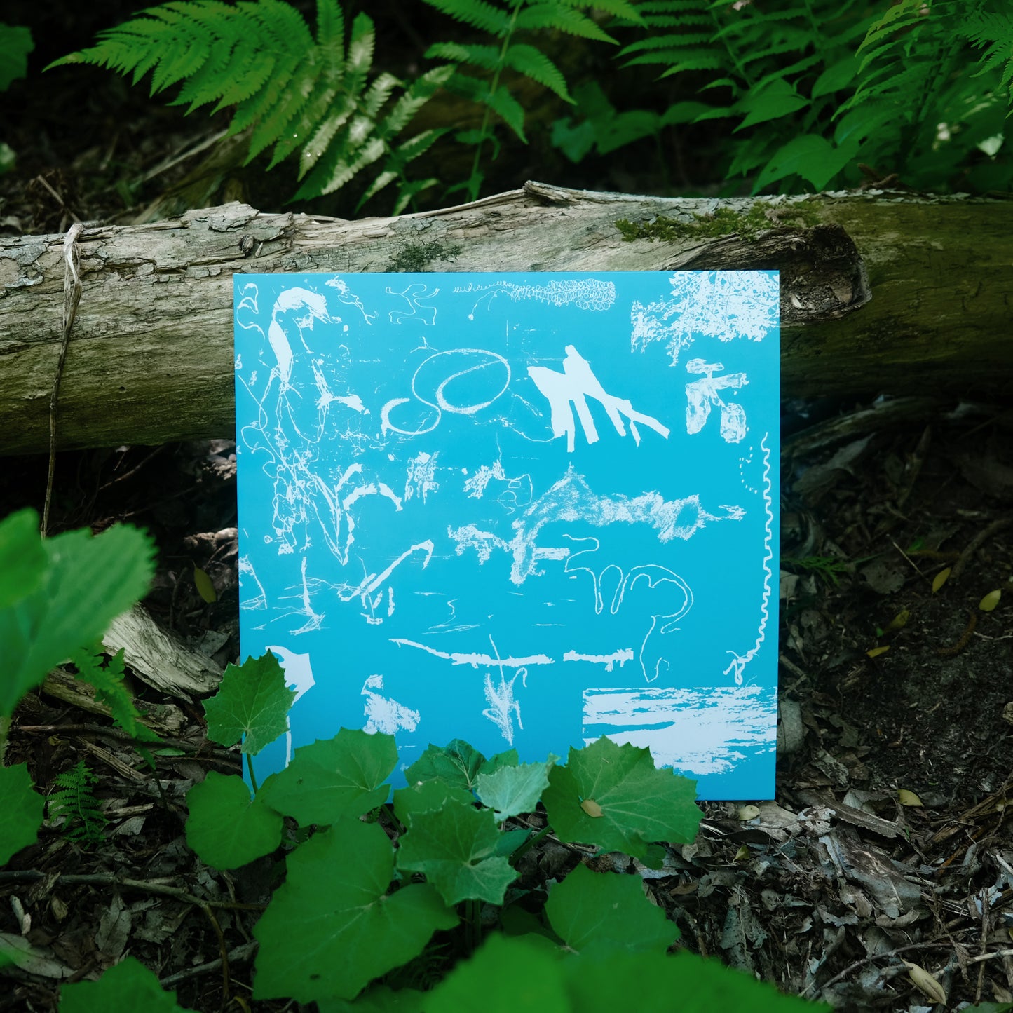 tesoros (double 12" vinyl)