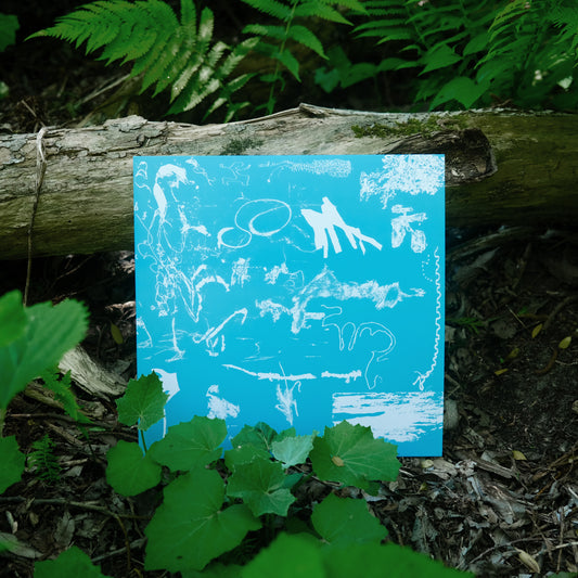 tesoros (double 12" vinyl)