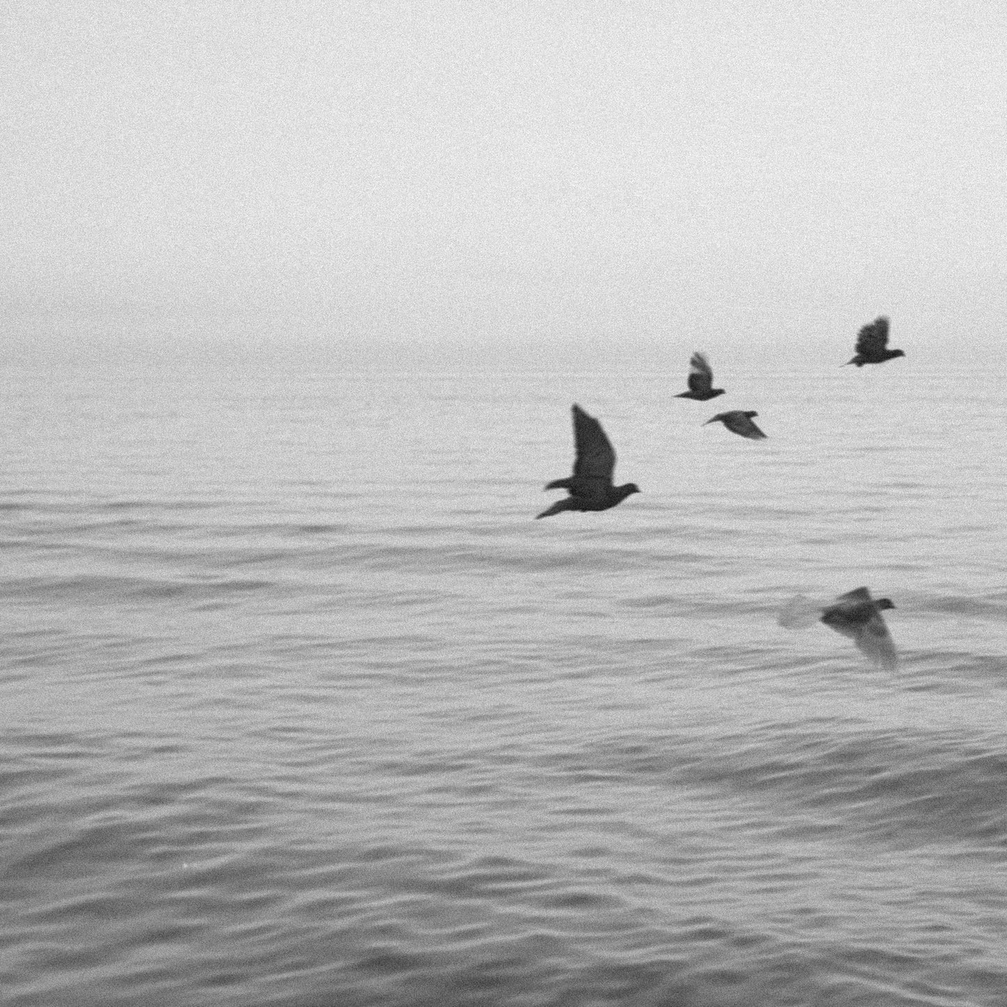 Views From Sixteen Stories (Vinyl/CD)