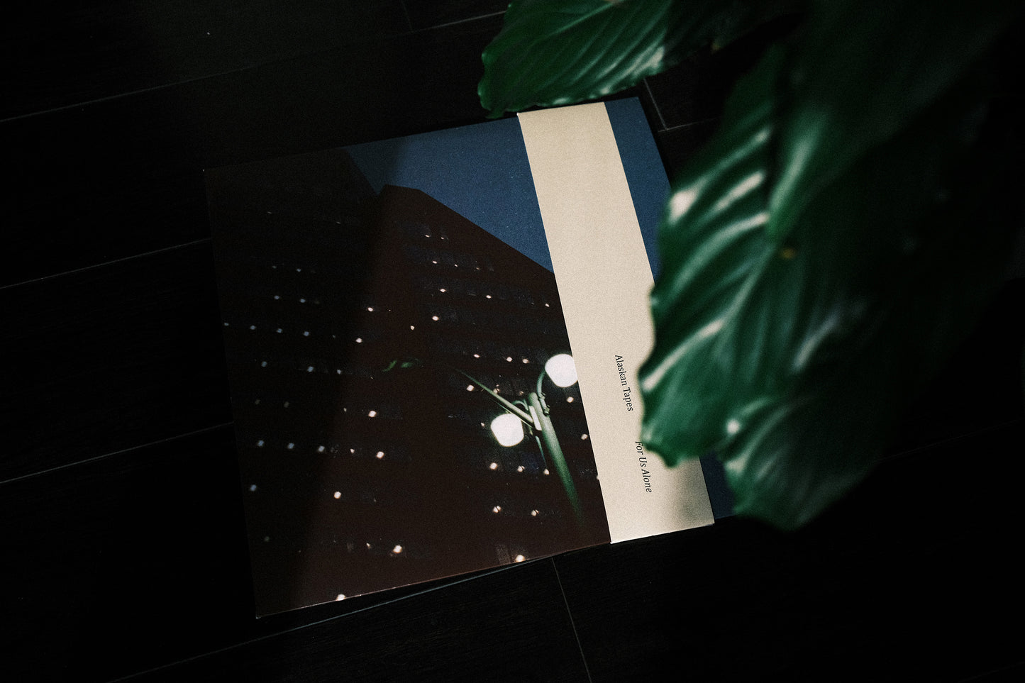 For Us Alone (Vinyl/CD)