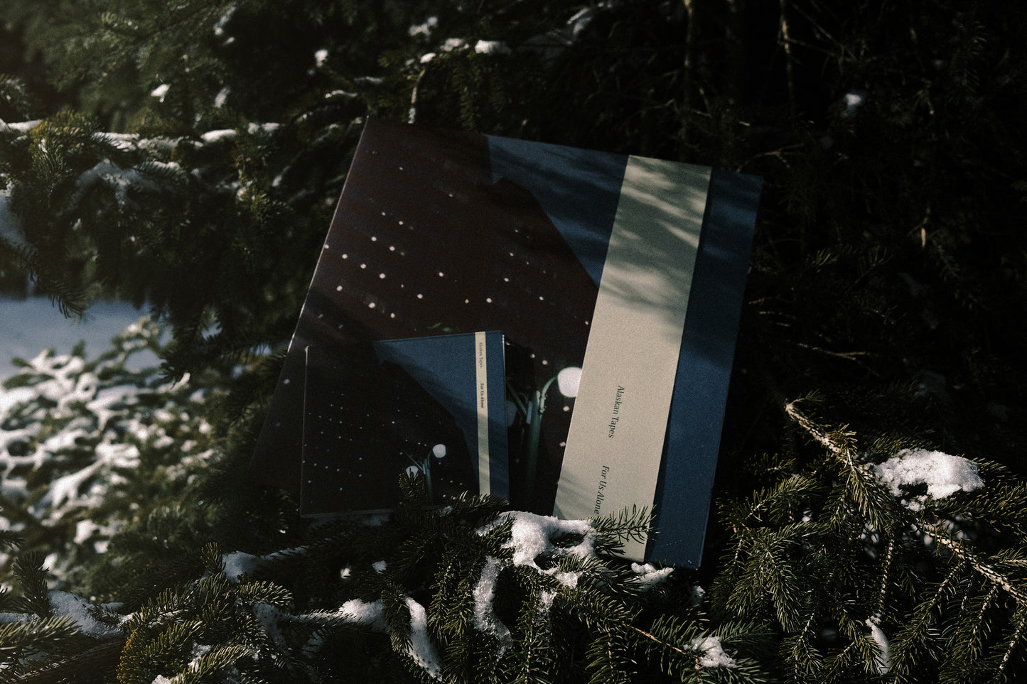 For Us Alone (Vinyl/CD)